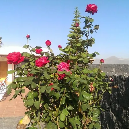 Celeste Плайя-Бланка