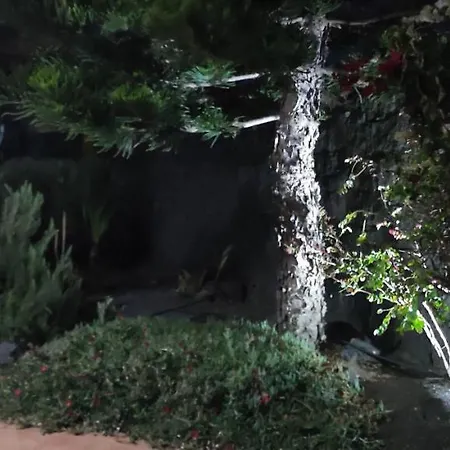 Celeste Плайя-Бланка