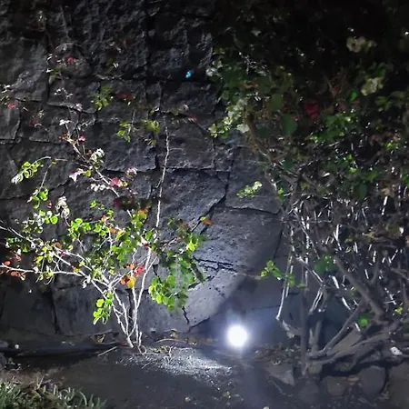 ヴィラ Celeste プラヤ・ブランカ