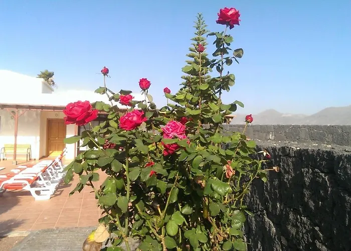 Celeste Playa Blanca (Lanzarote)